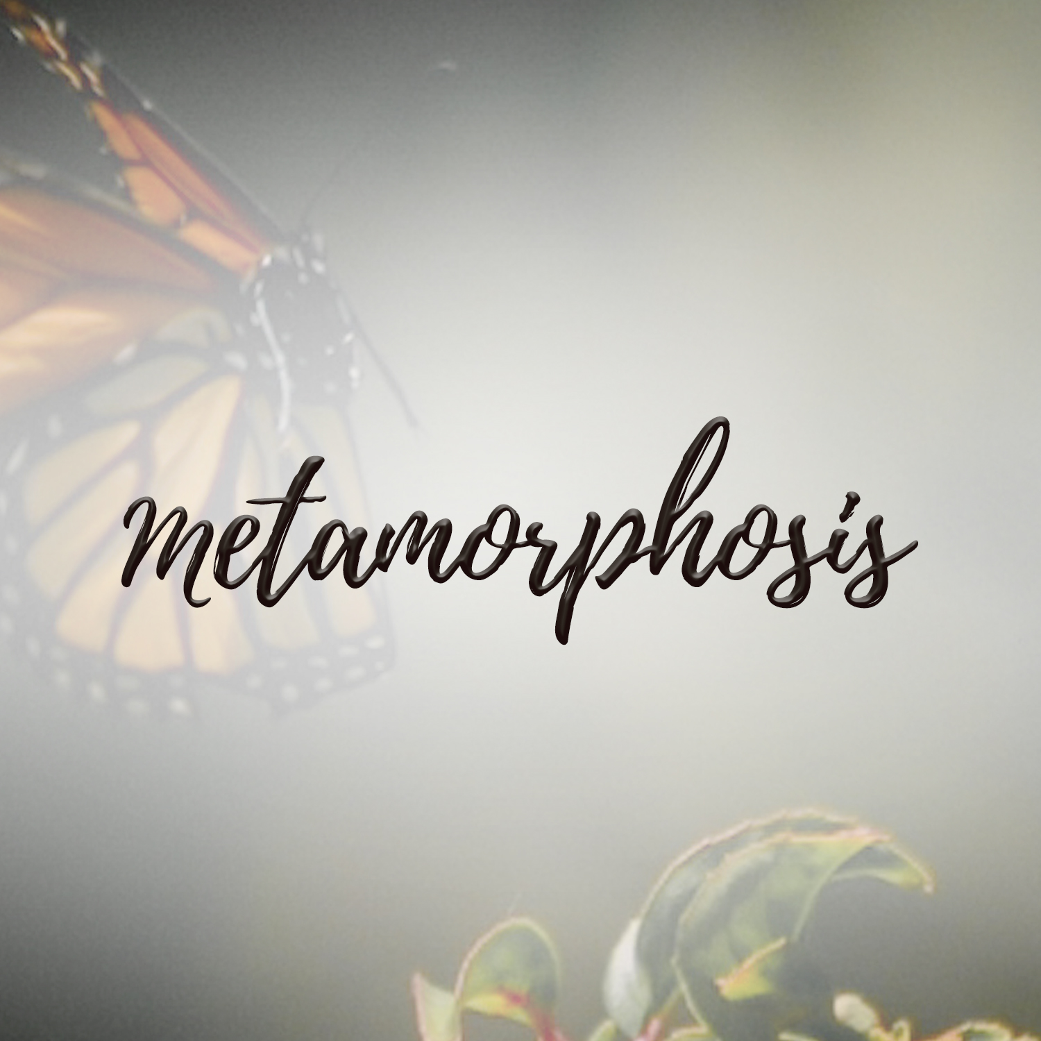 Metamorphosis, A Study in Ephesians 4